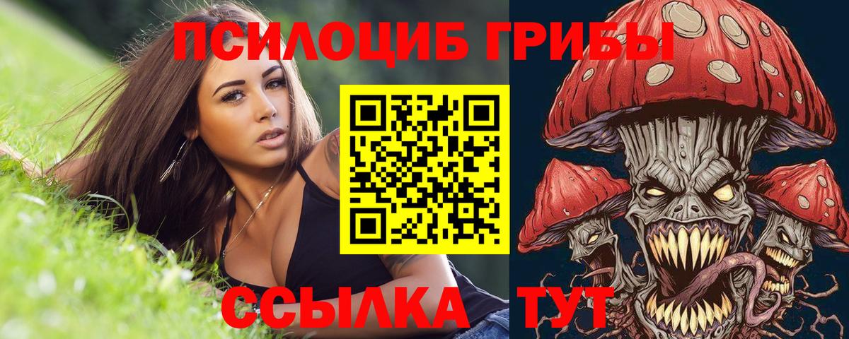 Псилоцибиновые грибы GOLDEN TEACHER  Вход с VPN  Галлюциногенные грибы мухоморы  Чехов 